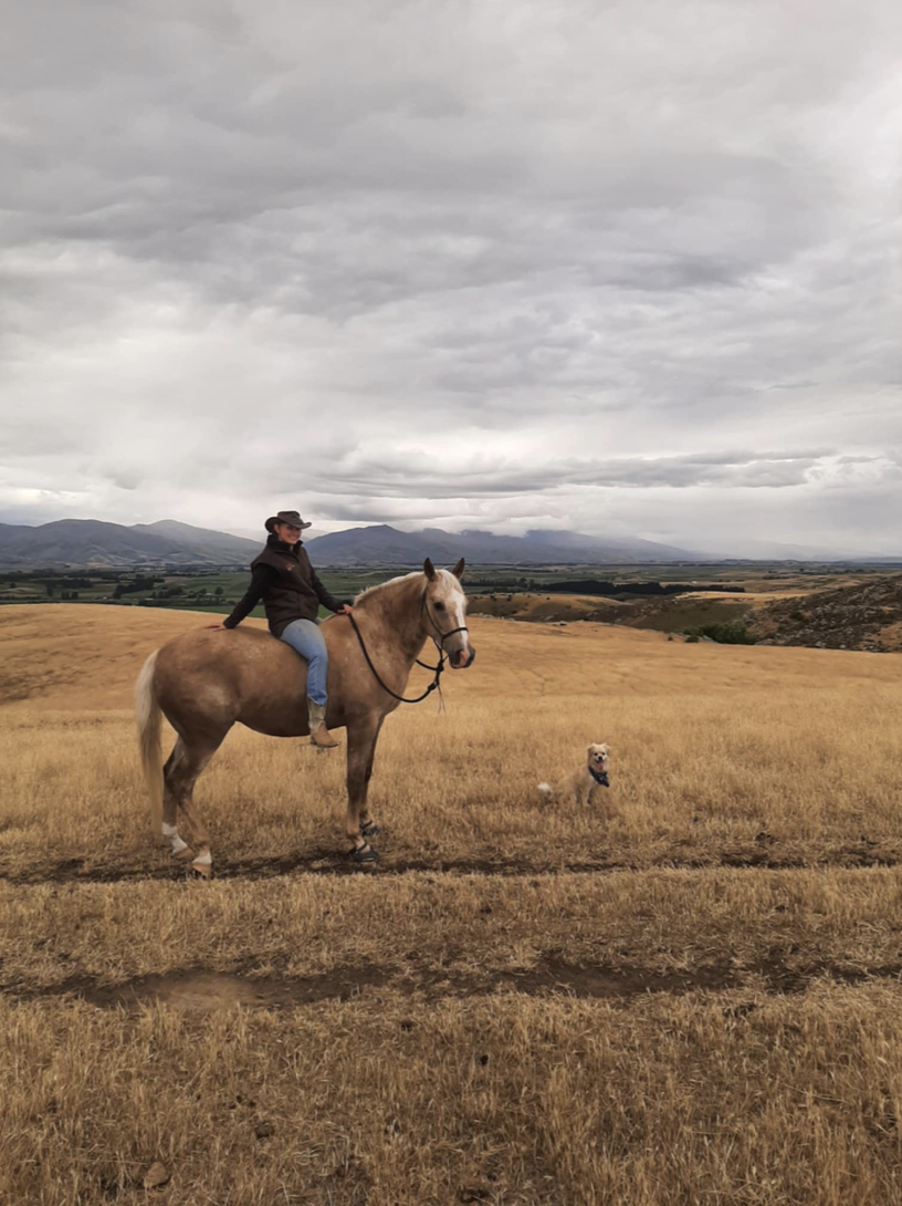 Sharing horsemanship with others